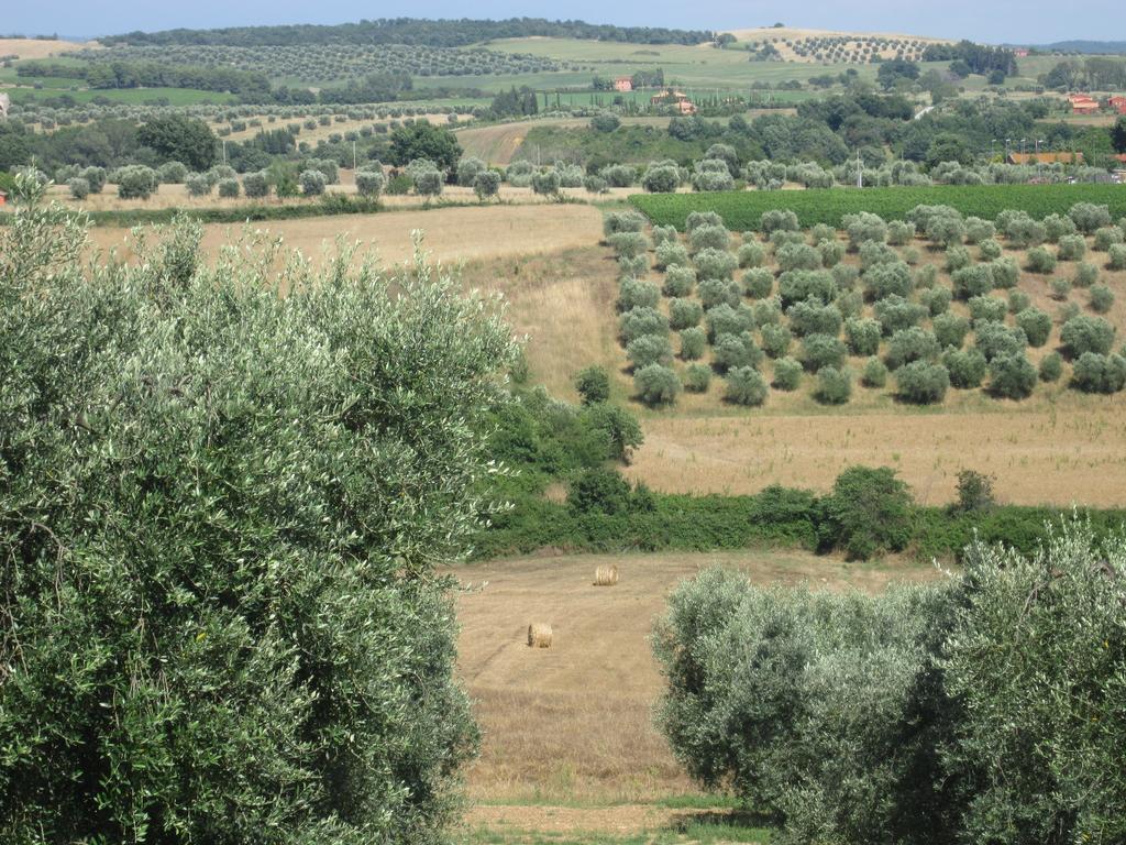 Вилла Agriturismo La Carlina Мальяно-ин-Тоскана Экстерьер фото